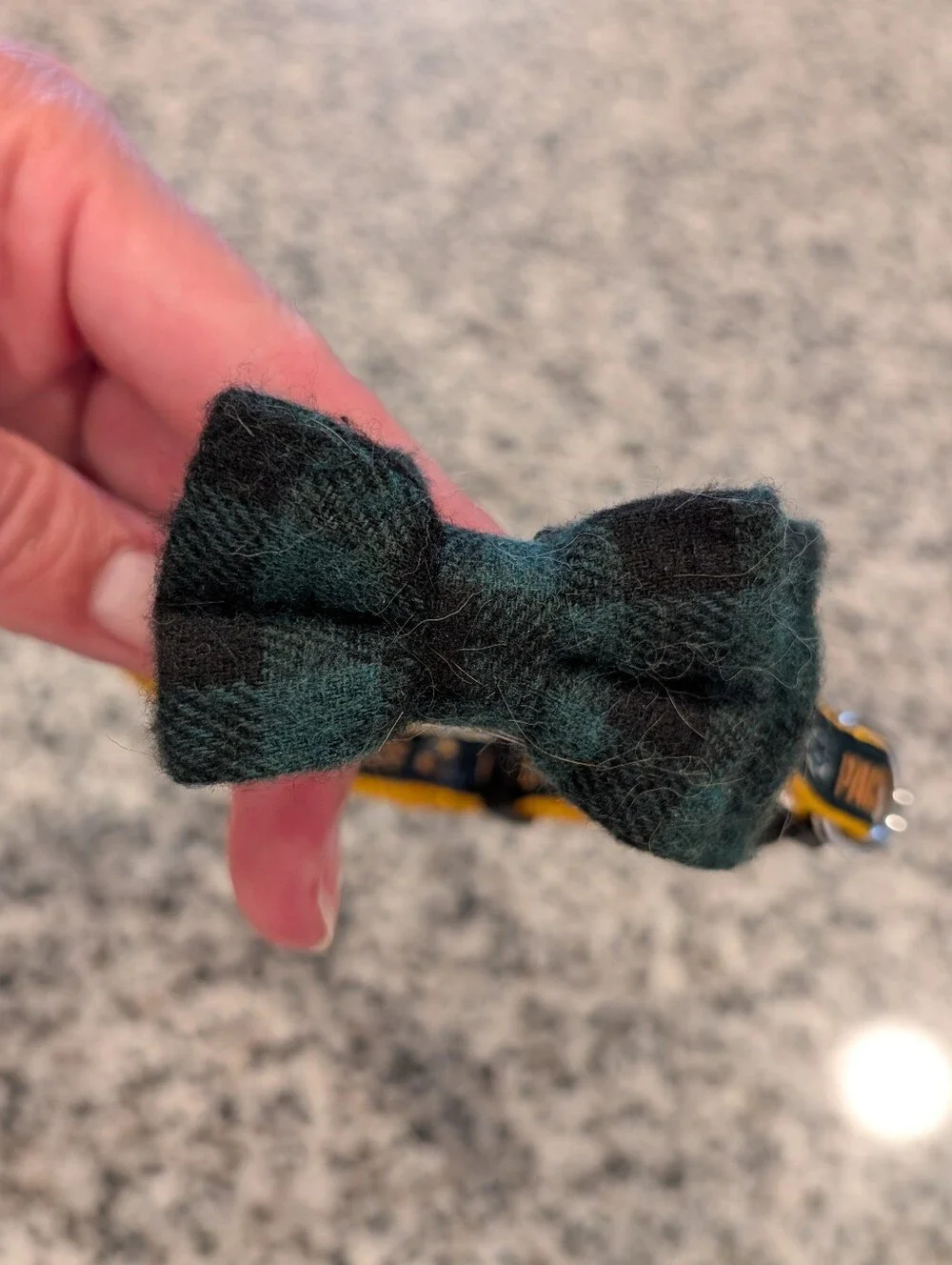 Green Bay Packers Breakaway Cat Collar